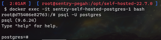 Logging into PostgresSQL Console